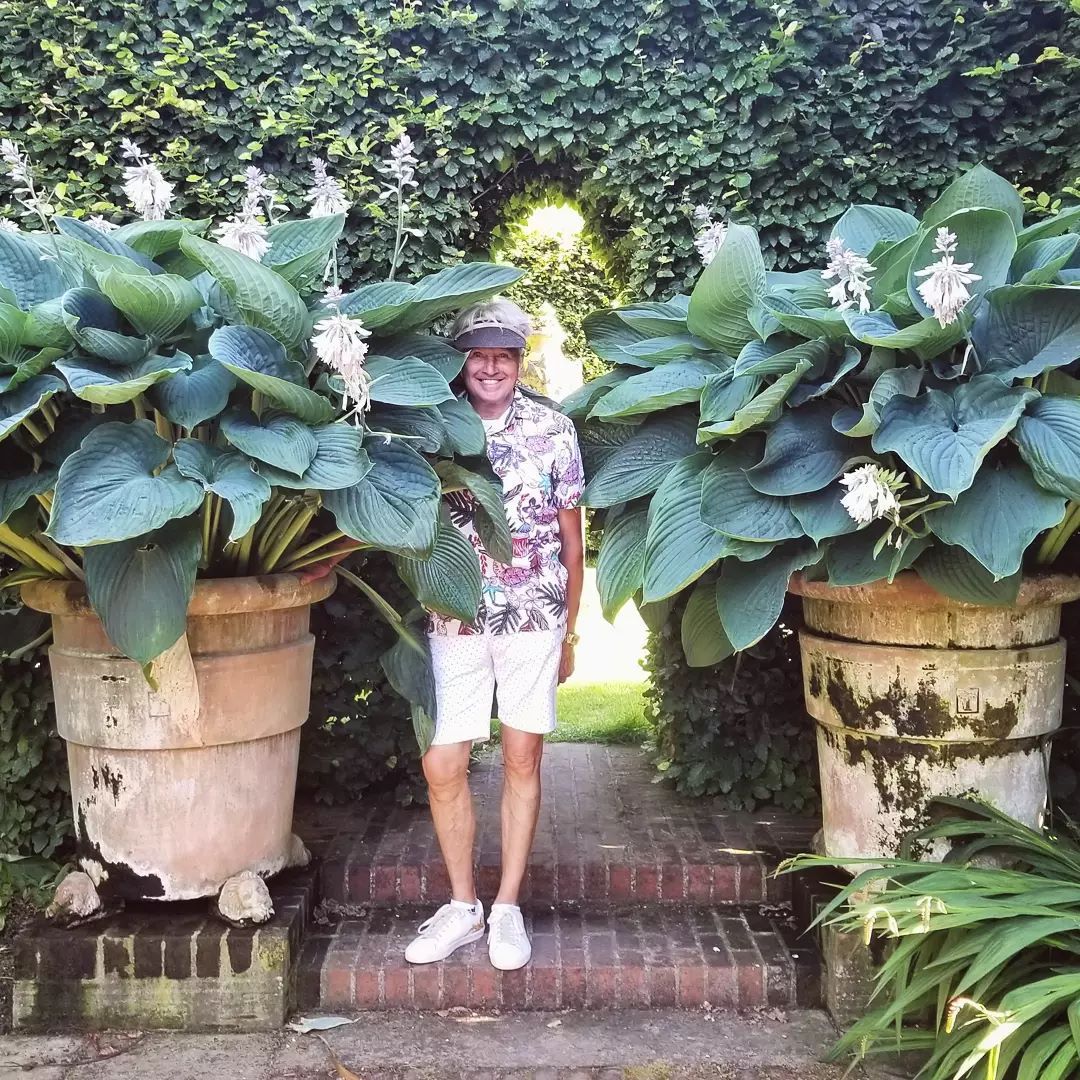 玉簪花苗武则天巨型玉簪品种