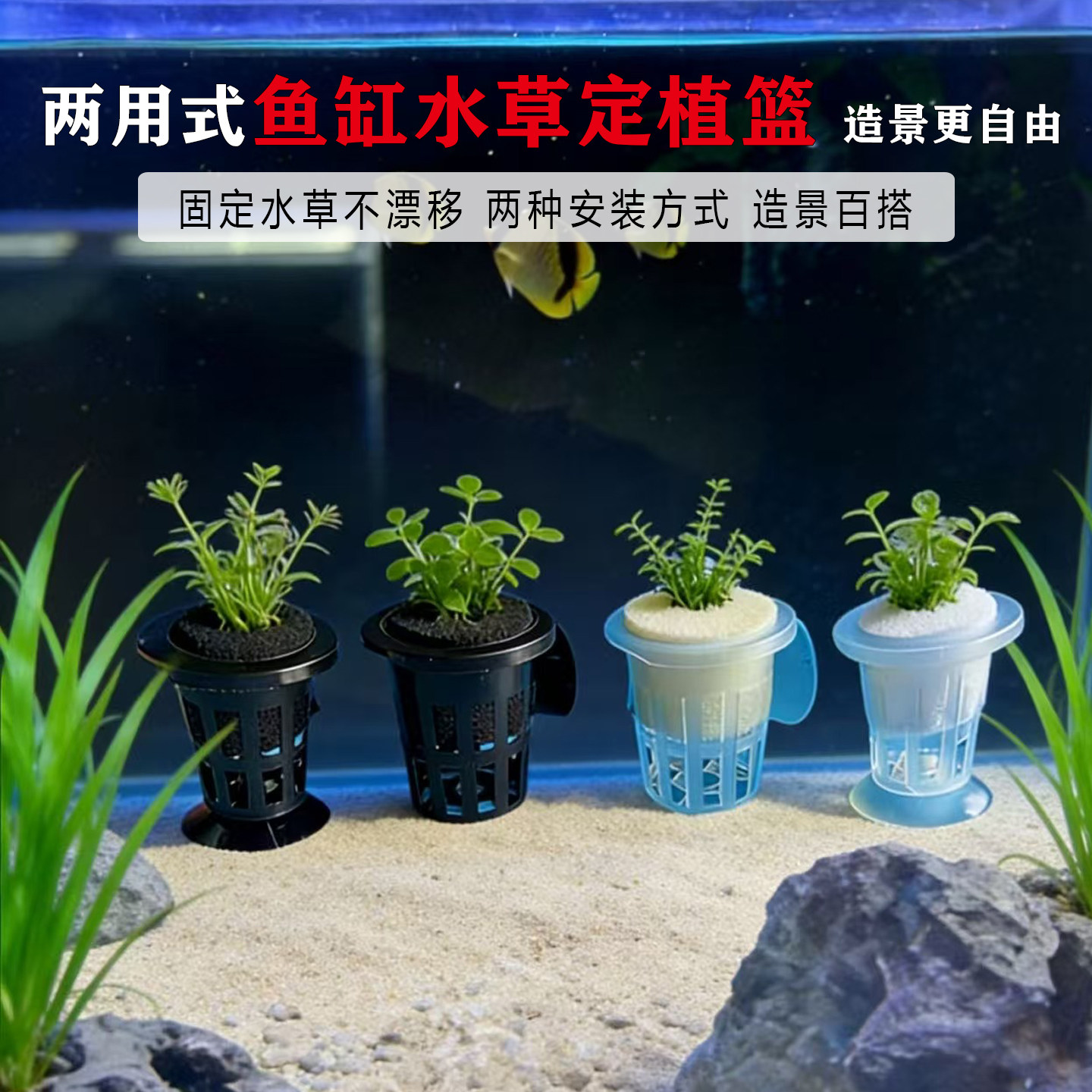 鱼缸水草定植篮壁吸底吸水草挂篮杯植物种植篮鱼缸造景吸盘沉底座