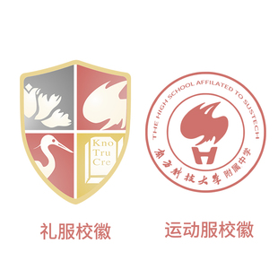 活力深圳校服南科大附中校服男女生秋冬礼服运动服附校徽短袖长裤