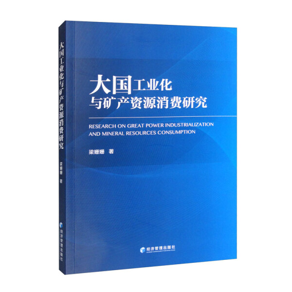 正版图书 大国工业化与矿产资源消费研究  9787509682739 经济管