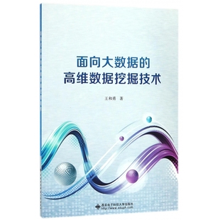 包邮 面向大数据 高维数据挖掘技术 西安电子科大 王和勇 9787560642185