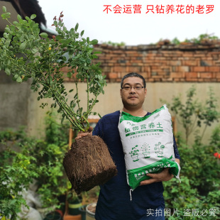 卉喜进口泥炭土营养土盆栽种植花土通用型绿萝月季 专用养花种菜土
