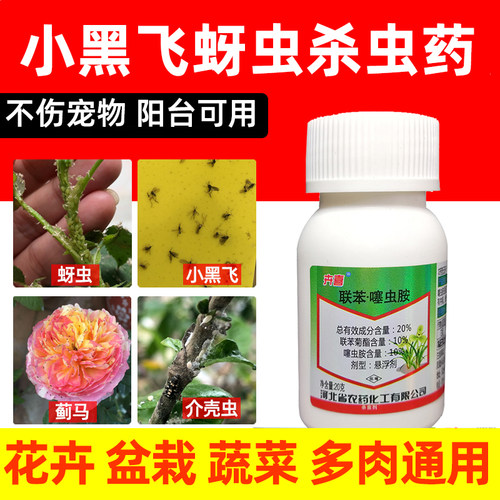 卉喜蚜虫小黑飞蔬菜植物杀虫剂