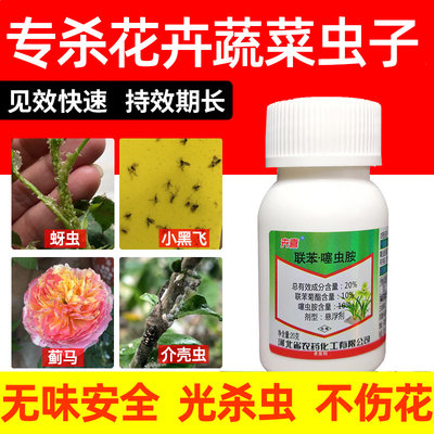 蔬菜花卉蚜虫小黑飞专用药