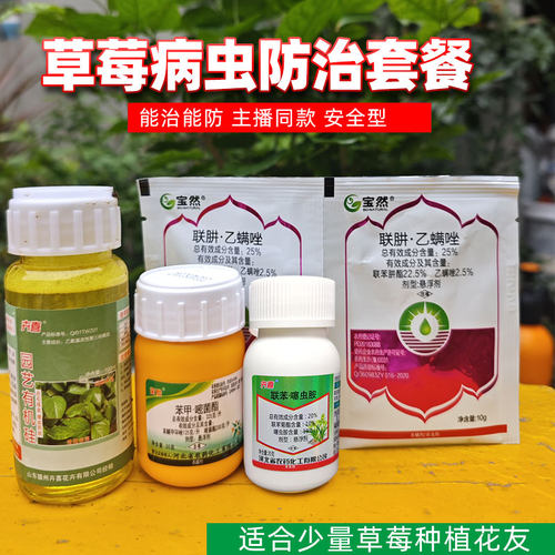 卉喜月季花病虫害常用药