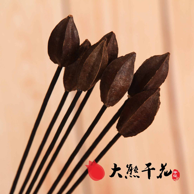 人气天然小杨桃乡村田园自然家居客厅桌面摆设艺术插花干花花枝