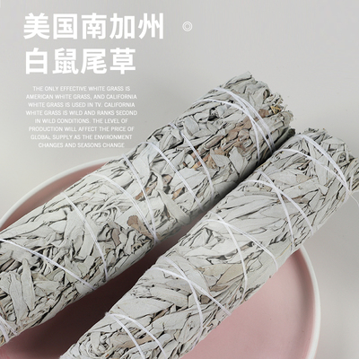 SittingBull净化空间白鼠尾草叶