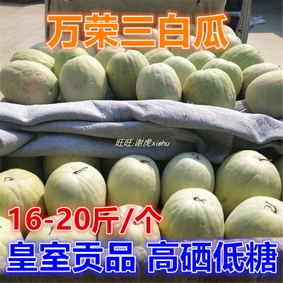 太原同城4个瓜单个18-20斤山西特产万荣三白瓜白皮瓜低糖白西瓜