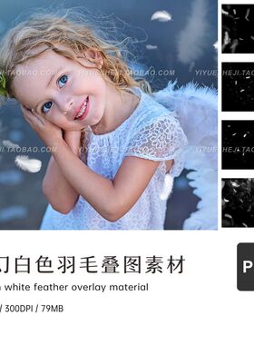 png白色羽毛ps透明背景面扣叠层叠图修图素材2