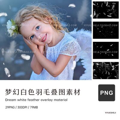 png白色羽毛ps透明背景面扣叠层叠图修图素材2