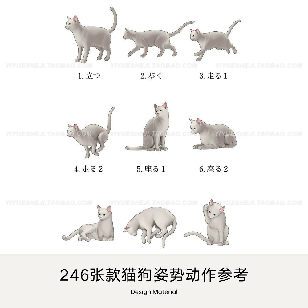 动物猫狗犬类动作形态动态姿势图案绘画原画jpg速写临摹参考素材