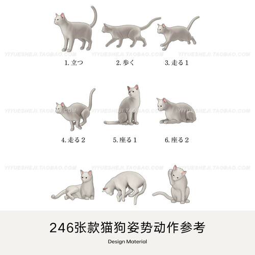 动物猫狗犬类动作形态动态姿势图案绘画原画jpg速写临摹参考素材1