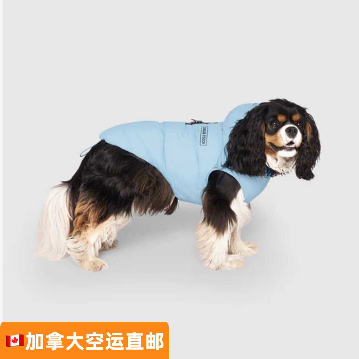 加拿大代购直邮Canada p狗宠物服装/雨衣