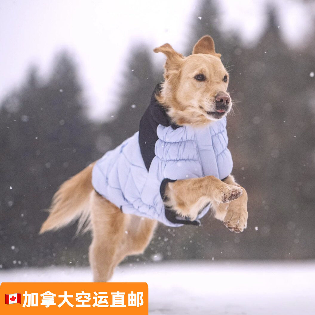 加拿大代购直邮GF PET宠物狗宠物服装/雨衣