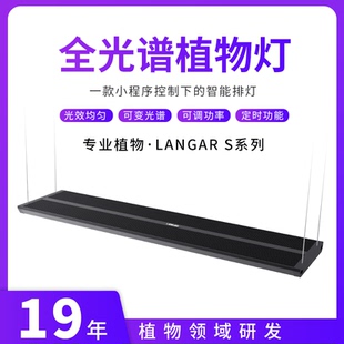 尼特利兰格尔多肉补光灯家用全光谱LED仿太阳光植物生长灯灯排