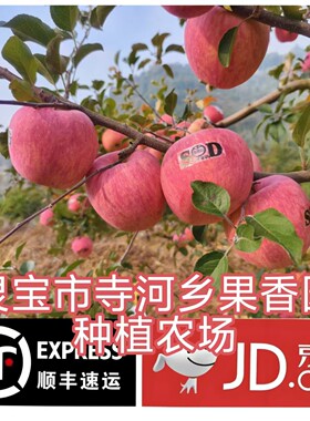 25年寺河山苹果灵宝苹果天然富硒苹果现摘现发京东顺丰