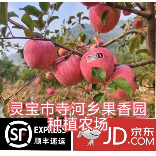 25年寺河山苹果灵宝苹果天然富硒苹果现摘现发京东顺丰