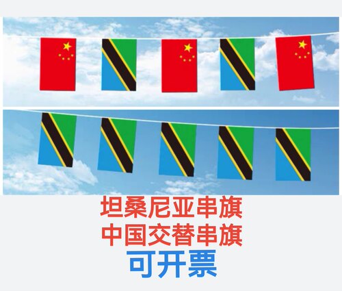 7米8号中国坦桑尼亚国旗串旗吊旗挂旗装饰小旗子坦桑尼亚小国旗