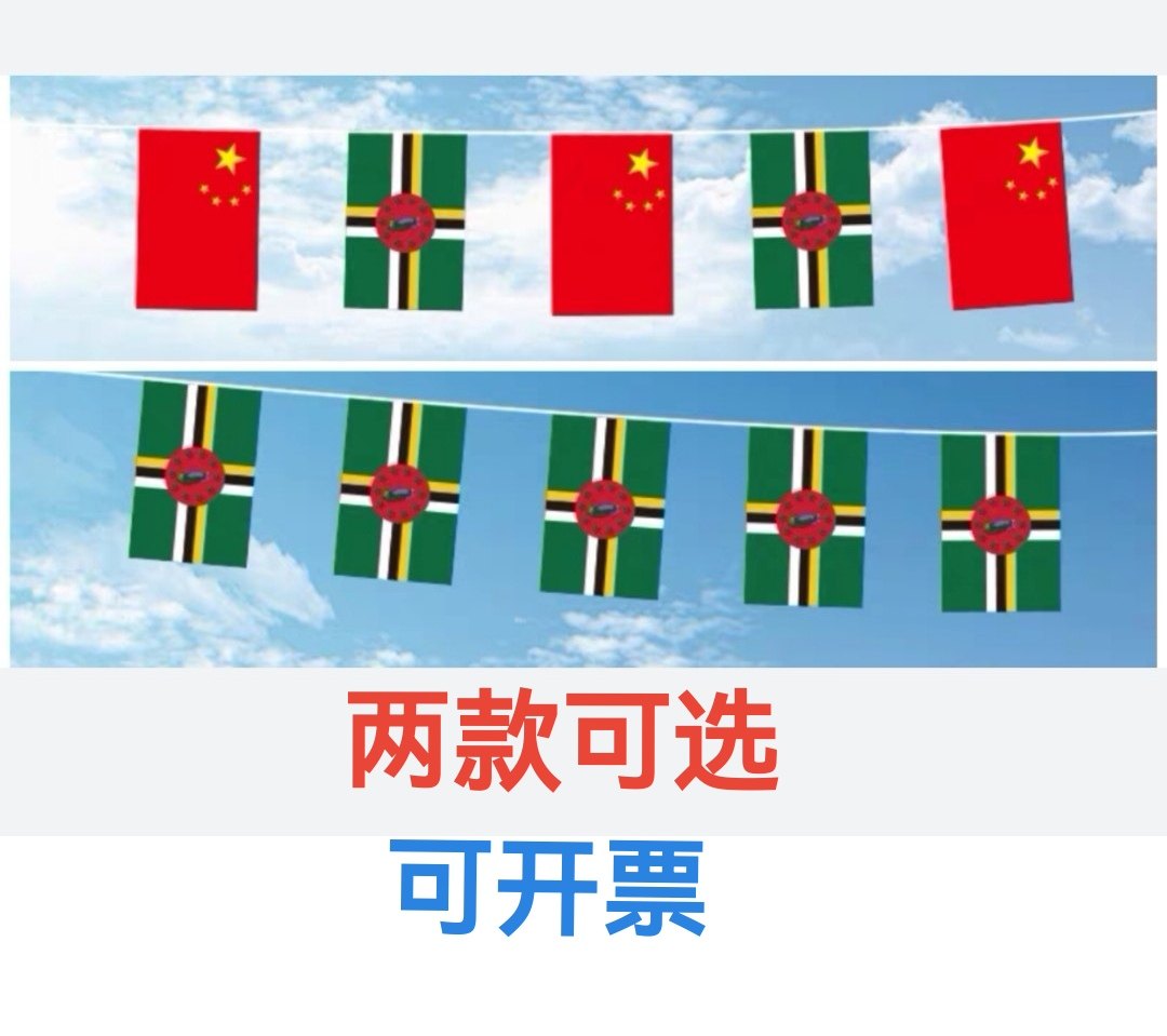 5米8号中国多米尼克国旗串旗挂旗吊旗装饰小旗子多米尼克小国旗