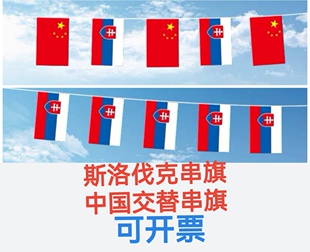 5米8号中国斯洛伐克国旗串旗挂旗吊旗装饰小旗子斯洛伐克小国旗