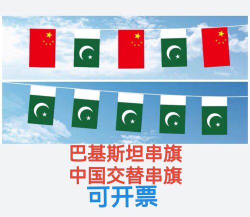7米8号中国巴基斯坦国旗串旗户外旗吊旗挂旗装饰巴基斯坦小国旗
