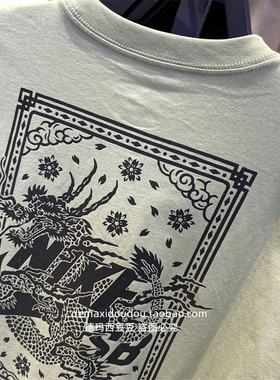 Nike耐克SB男子滑板T恤夏季新款宽松纯棉印花运动叠搭短袖 FQ3720