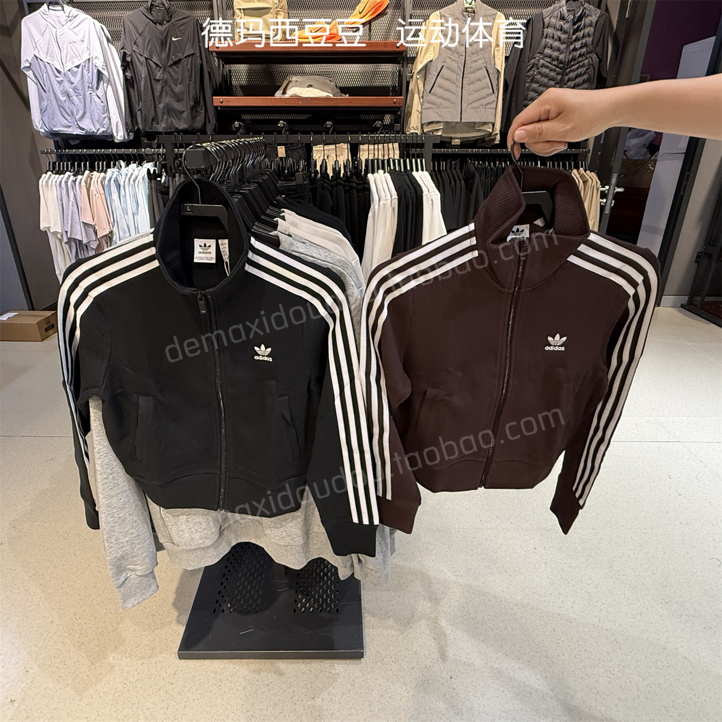 Adidas三叶草 女子运动休闲潮流经典夹克外套 IN6061 IY7278
