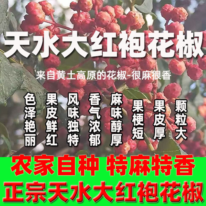 甘肃天水特产秦安花椒大红袍天水麻辣烫同款花椒半斤1斤包邮新货