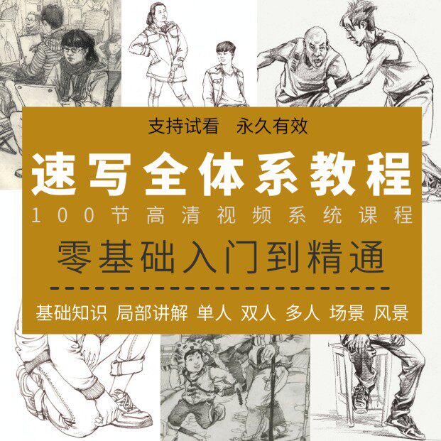 名师速写网课视频教程零基础入门设计素材/源文件