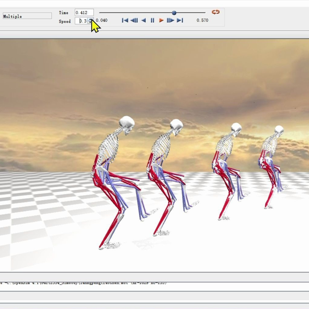 Opensim肌骨惯性传感器逆向运动生物动力学开发系统仿真分析代做