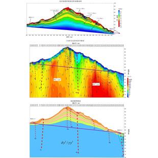 SedFoam泥沙输运桩基冲刷模拟浮床沙耦合计算分析数值研究帮代做