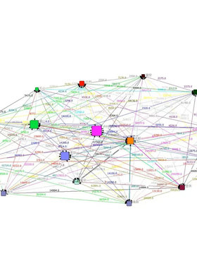 社会网络分析gephi ucinet vosviewer pajek rostcm6 netdrwa代做