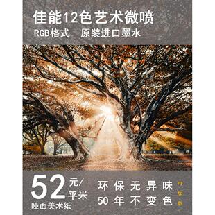 来图定做装饰画高清艺术微喷打印照片画芯海报装裱画框定制无框画