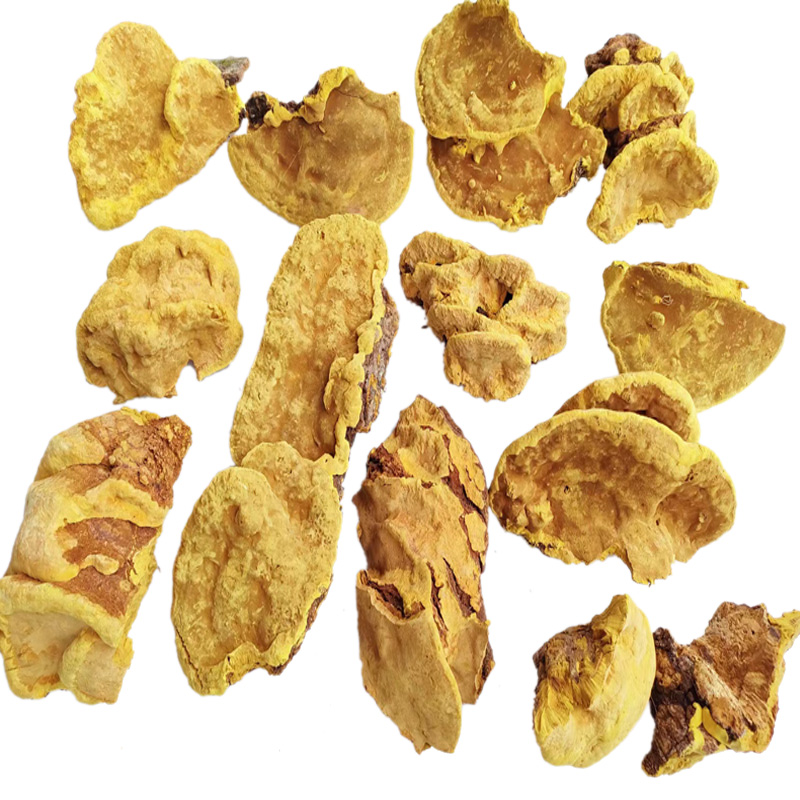 深山老倌牌西藏桑树桑黄野生黄芝