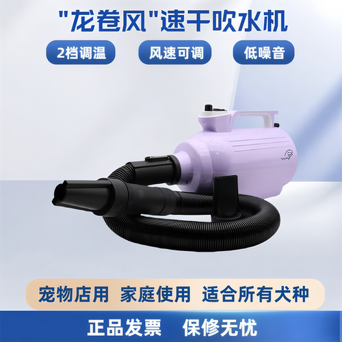 PURFY大功率宠物吹水机超大风力