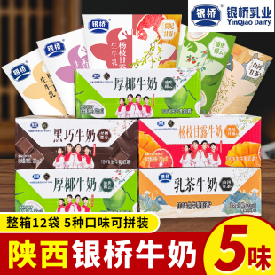 银桥小牛包生牛乳混合装 牛奶饮品 黑巧厚椰杨枝甘露乳茶香芋12袋装