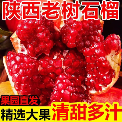 陕西临潼石榴新鲜水果当季现摘现发皮薄清甜多汁农家自种产地直发