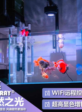 KASSRAY原生灯WRGB卡瑟锐A5溪流缸造景灯金鱼增艳卡瑟瑞手机APP