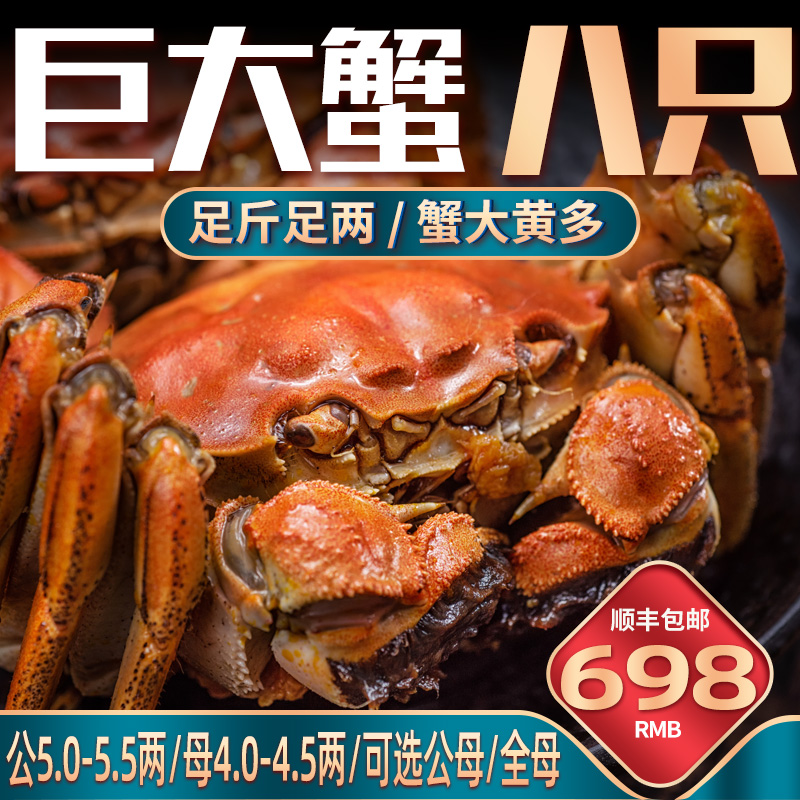 精挑肥蟹足斤足两公母可选8只装