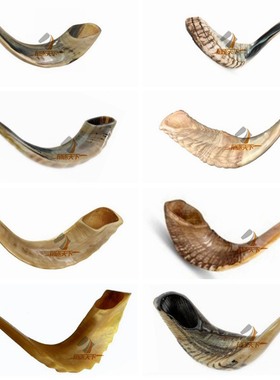 上海以色列天然真公羊角号角rams horn shofar 小号羊角号