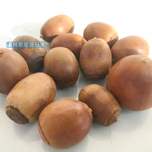 大眼飞鼠金花松鼠粮食粮食套餐魔王吃的食物主粮饲料坚果橡果