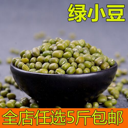 绿豆 农家新鲜绿小豆 五谷杂粮绿豆粥绿豆汤原料250克