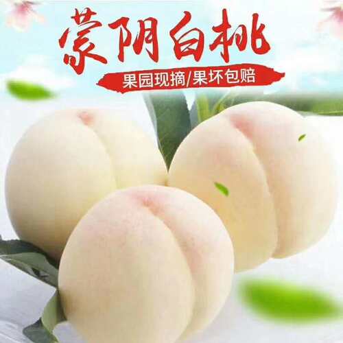 白桃桃子超甜水蜜桃新鲜脆甜可口奶油大桃子应季时令水果五斤包邮