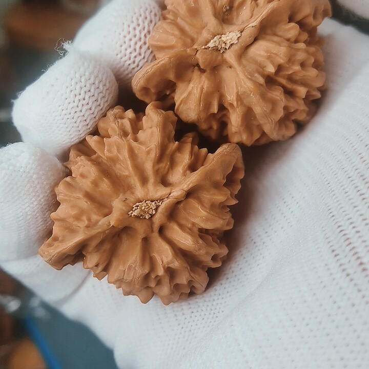 特价核桃老树京八对底漂亮练手