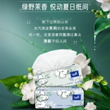 Tempo Debao Paper Paper Jasmin