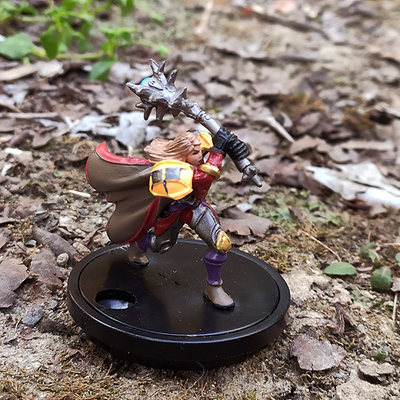 联盟女圣骑士紫色装备正版魔兽世界模型战棋公仔摆件人偶送人物卡