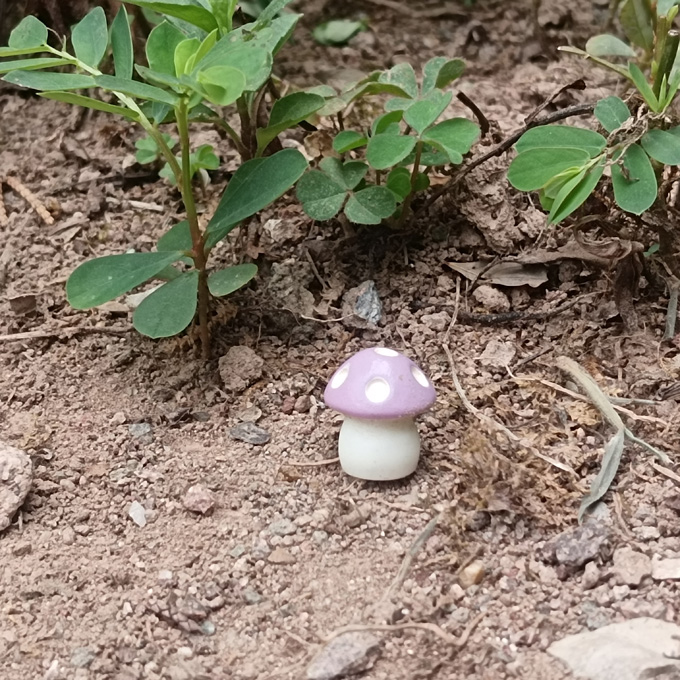 迪斯尼正版散货动物王国小蘑菇场景超精致动物玩具模型手办