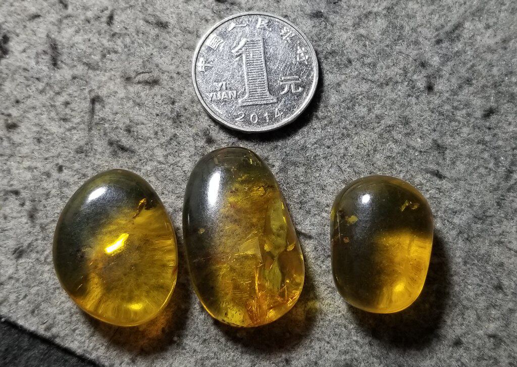 虫珀 墨西哥蓝珀 尺寸见对比 原石 b1-3