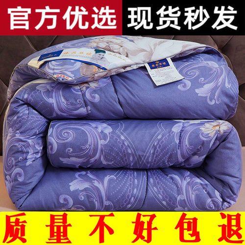 四季通用加厚保暖冬被子春秋被芯