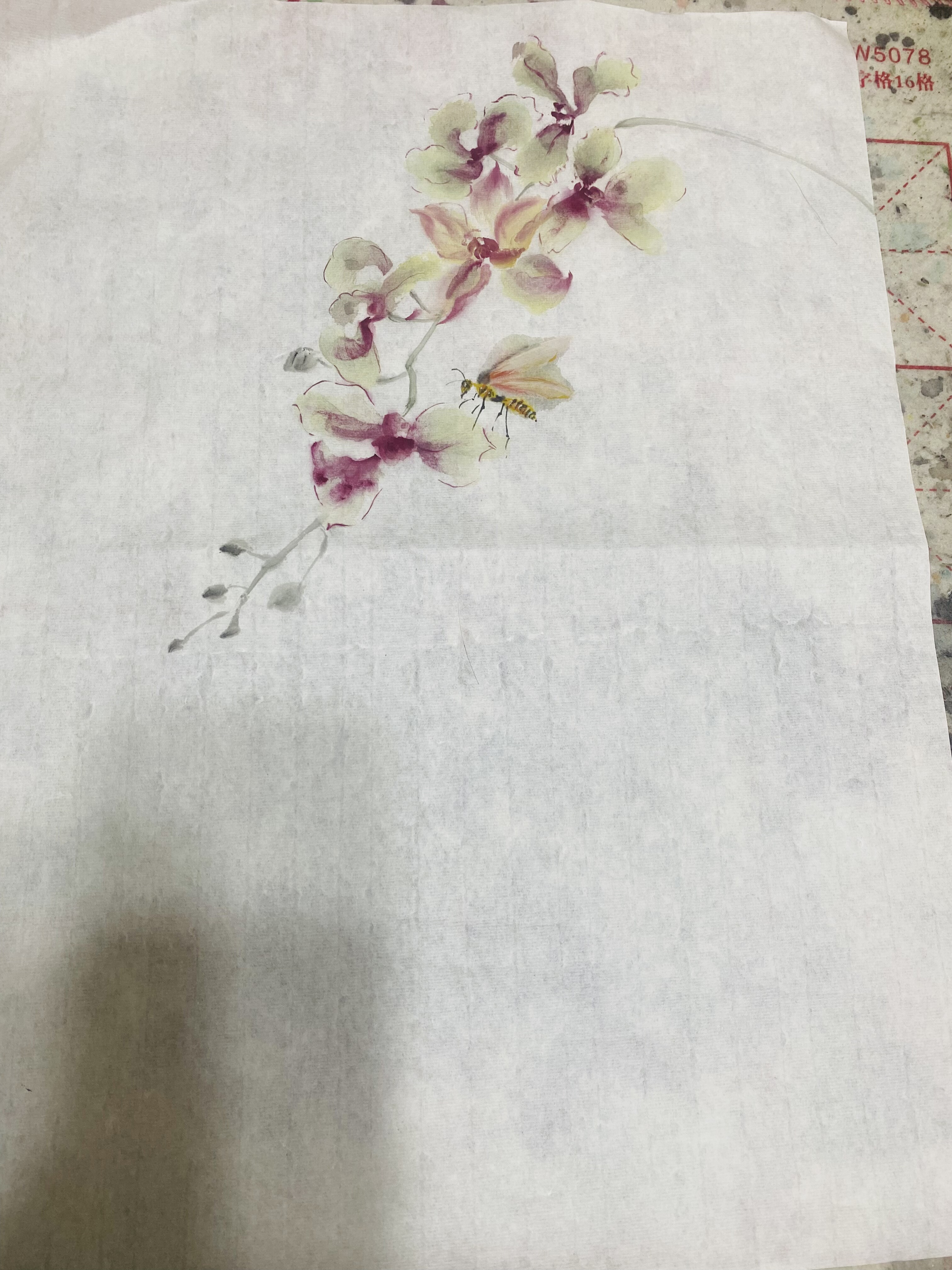 纯手绘国画写意花鸟画装饰画蝴蝶兰客厅书房装饰画毛笔画图片